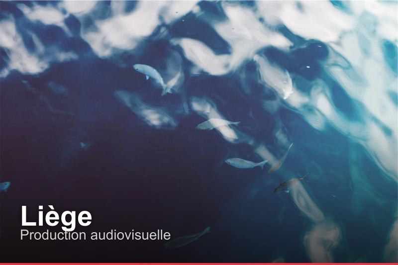 Production audiovisuelle à Liège, Belgique - Trouvez un professionnel